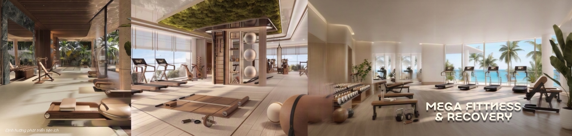 mega fitness recovery quay complex phuoc hai